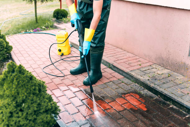 Best Driveway Cleaning and Restoration in Tichigan, WI